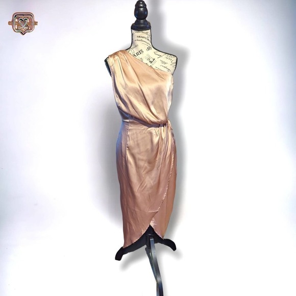 Baltic Born Celia One Shoulder Champagne Midi Event Dress, Medium - Picture 5 of 8
